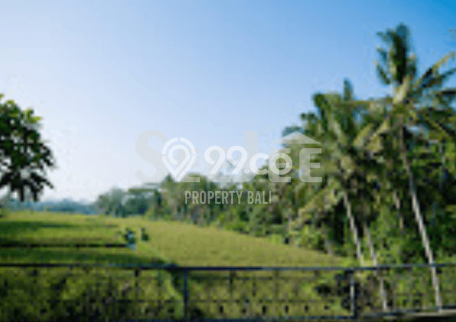 Vila Premium Kawasan Ubud, Ukuran 800m2m², Akses ke berbagai fasilitas Vila Premium Kawasan Ubud, Ukuran 800m2m², Akses ke berbagai fasilitas