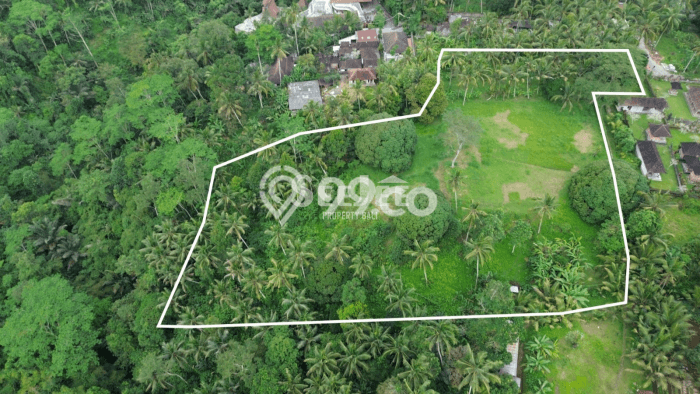 Dijual Tanah di Ubud Gianyar Luas 14631m2 SHM Dijual Tanah di Ubud Gianyar Luas 14631m2 SHM