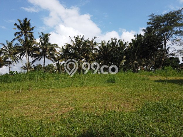 Dijual Tanah di Ubud Gianyar Luas 14631m2 SHM Dijual Tanah di Ubud Gianyar Luas 14631m2 SHM