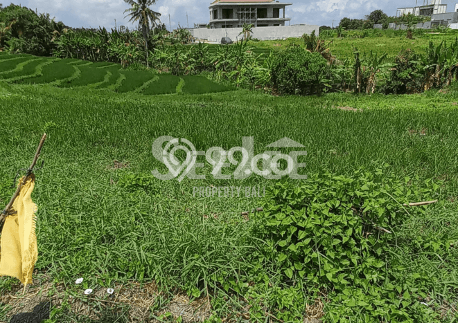 Lahan Kosong Dijual di Tabanan dengan Area 411m2 Lahan Kosong Dijual di Tabanan dengan Area 411m2