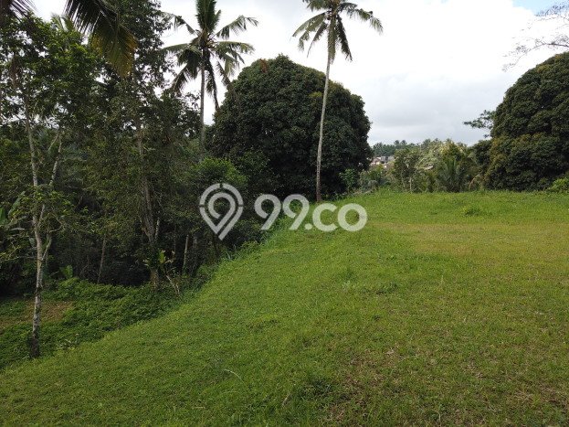 Dijual Tanah di Ubud Gianyar Luas 14631m2 SHM Dijual Tanah di Ubud Gianyar Luas 14631m2 SHM