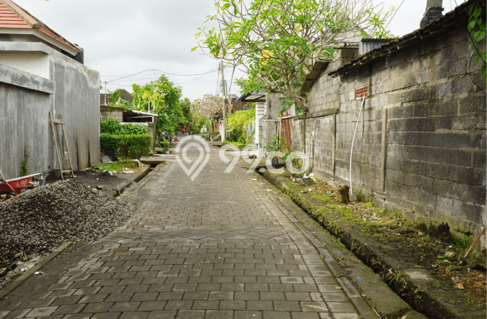 Kavling Tanah untuk Disewa di Dalung Lahan Luas 700m2 Kavling Tanah untuk Disewa di Dalung Lahan Luas 700m2