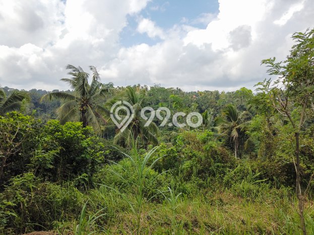 Dijual Tanah di Ubud Gianyar Luas 14631m2 SHM Dijual Tanah di Ubud Gianyar Luas 14631m2 SHM