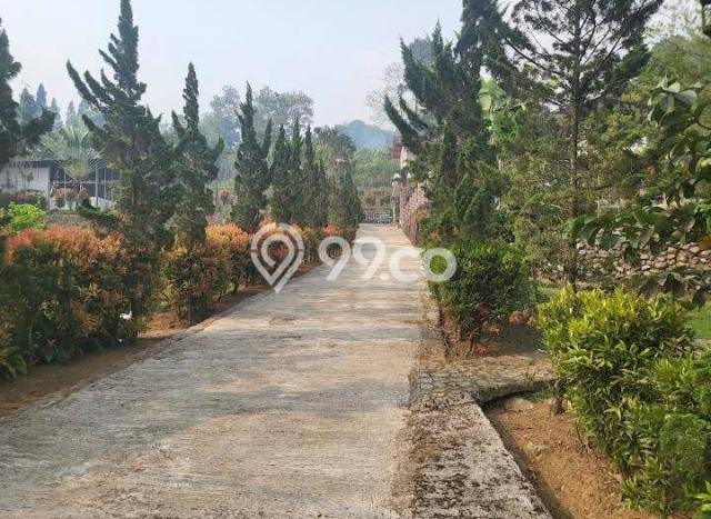 FOR SALE! Vila di Cisarua, Luas 14000m2m², Lokasi Strategis FOR SALE! Vila di Cisarua, Luas 14000m2m², Lokasi Strategis