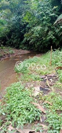 Kavling Tanah Dijual di Payangan Gianyar Spesifikasi 75262m2 Kavling Tanah Dijual di Payangan Gianyar Spesifikasi 75262m2
