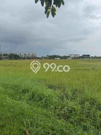 Untuk Dijual Tanah 22118m2 di Pantai Indah Kapuk 2, Jakarta Utara Untuk Dijual Tanah 22118m2 di Pantai Indah Kapuk 2, Jakarta Utara