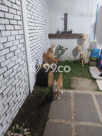 Hunian Nyaman Asri 2 KT Siap Pakai di Ciwastra Bandung Hunian Nyaman Asri 2 KT Siap Pakai di Ciwastra Bandung