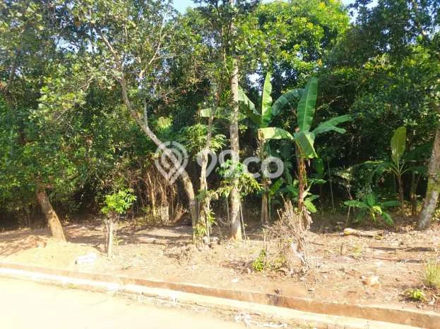 Tanah Kawasan Karawang Timur, Luas 3792m2m², Area Potensial, Kawasan Asri, Kontur Datar Tanah Kawasan Karawang Timur, Luas 3792m2m², Area Potensial, Kawasan Asri, Kontur Datar
