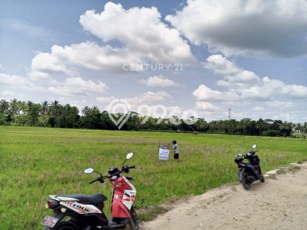 Tanah Dijual Lokasi Pagelaran, Pandeglang Luas 2702m2 Legalitas Aman Tanah Dijual Lokasi Pagelaran, Pandeglang Luas 2702m2 Legalitas Aman