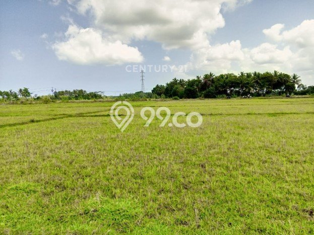 Tanah Dijual Lokasi Pagelaran, Pandeglang Luas 2702m2 Legalitas Aman Tanah Dijual Lokasi Pagelaran, Pandeglang Luas 2702m2 Legalitas Aman