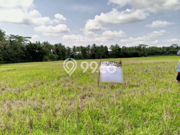 Tanah Dijual Lokasi Pagelaran, Pandeglang Luas 2702m2 Legalitas Aman Tanah Dijual Lokasi Pagelaran, Pandeglang Luas 2702m2 Legalitas Aman