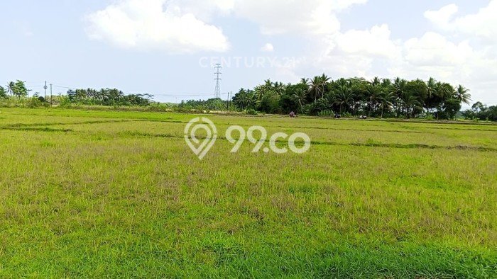 Tanah Dijual Lokasi Pagelaran, Pandeglang Luas 2702m2 Legalitas Aman Tanah Dijual Lokasi Pagelaran, Pandeglang Luas 2702m2 Legalitas Aman