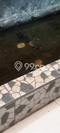 Rumah Area Nyaman di Parongpong, Bandung, Luas 180m² LB 230m² Rumah Area Nyaman di Parongpong, Bandung, Luas 180m² LB 230m²