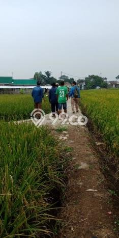 Lahan Investasi Lokasi Bojongsoang Bandung SHM Lahan Investasi Lokasi Bojongsoang Bandung SHM