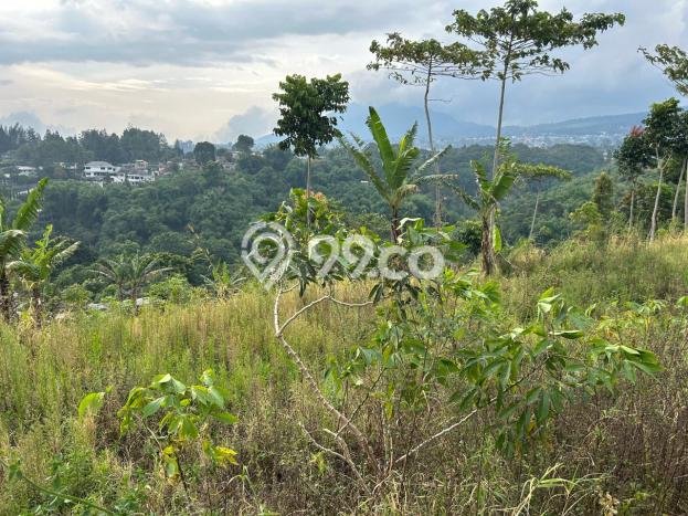 Tanah Komersial Dijual di Lembang Bandung Barat 3986m2 Tanah Komersial Dijual di Lembang Bandung Barat 3986m2