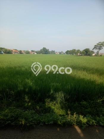 Lahan Investasi Lokasi Bojongsoang Bandung SHM Lahan Investasi Lokasi Bojongsoang Bandung SHM