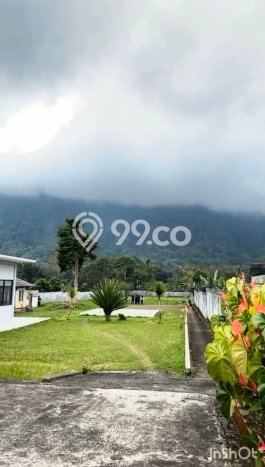Tanah Kavling Dijual di Bedugul, Tabanan dengan Luas Tanah 5000m2 Tanah Kavling Dijual di Bedugul, Tabanan dengan Luas Tanah 5000m2