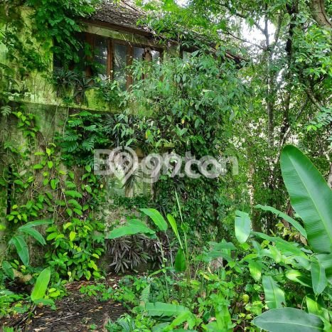 Untuk Dijual Tanah 300m2 di Mas, Gianyar Untuk Dijual Tanah 300m2 di Mas, Gianyar