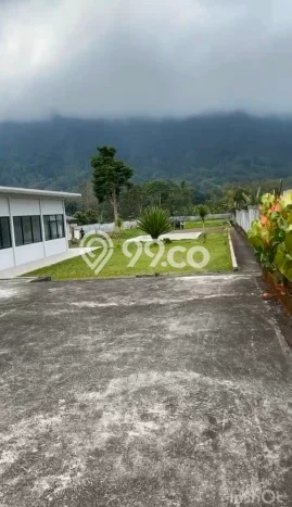 Tanah Kavling Dijual di Bedugul, Tabanan dengan Luas Tanah 5000m2 Tanah Kavling Dijual di Bedugul, Tabanan dengan Luas Tanah 5000m2