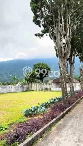 Tanah Kavling Dijual di Bedugul, Tabanan dengan Luas Tanah 5000m2 Tanah Kavling Dijual di Bedugul, Tabanan dengan Luas Tanah 5000m2