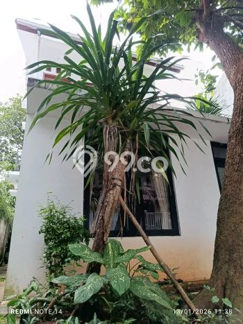 Disewakan Rumah Harga Terjangkau di TB Simatupang Jakarta Selatan Punya 2 Kamar Tidur Disewakan Rumah Harga Terjangkau di TB Simatupang Jakarta Selatan Punya 2 Kamar Tidur
