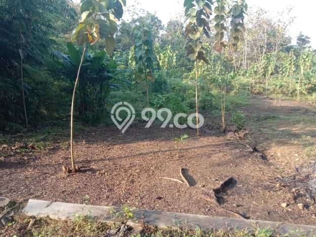 Tanah Dijual Lokasi Wates, Kulon Progo Luas 120m2 Legalitas Aman Tanah Dijual Lokasi Wates, Kulon Progo Luas 120m2 Legalitas Aman