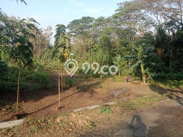 Tanah Dijual Lokasi Wates, Kulon Progo Luas 120m2 Legalitas Aman Tanah Dijual Lokasi Wates, Kulon Progo Luas 120m2 Legalitas Aman
