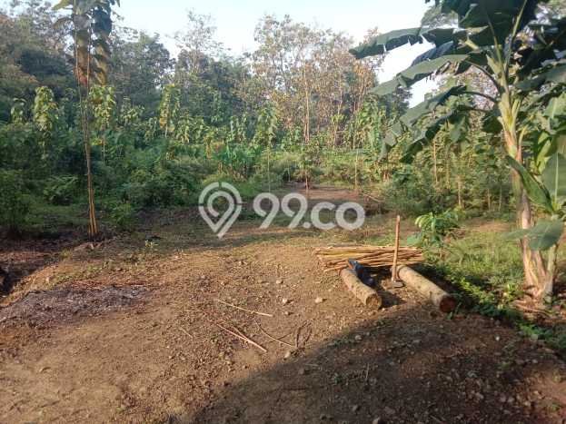 Tanah Dijual Lokasi Wates, Kulon Progo Luas 120m2 Legalitas Aman Tanah Dijual Lokasi Wates, Kulon Progo Luas 120m2 Legalitas Aman
