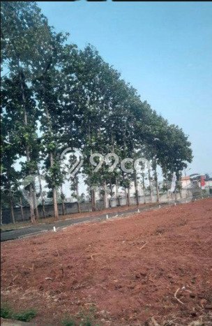 Rumah Luas Asri 3 KT Siap Pakai di Semanan Jakarta Barat Rumah Luas Asri 3 KT Siap Pakai di Semanan Jakarta Barat