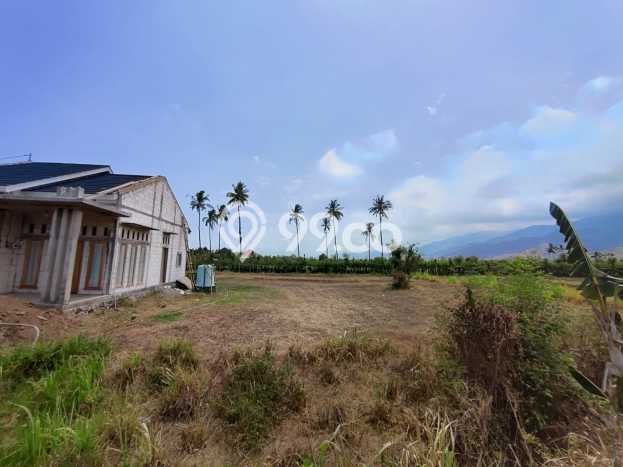 Tanah di Buleleng, Buleleng Luas 2550m2 Dijual Segera Tanah di Buleleng, Buleleng Luas 2550m2 Dijual Segera