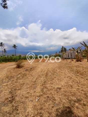 Tanah di Buleleng, Buleleng Luas 2550m2 Dijual Segera Tanah di Buleleng, Buleleng Luas 2550m2 Dijual Segera