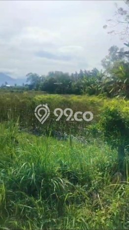 Lahan Dijual Lokasi Strategis di Jembrana dengan Luas 10000m2 Lahan Dijual Lokasi Strategis di Jembrana dengan Luas 10000m2