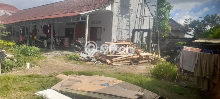Disewakan Rumah Murah di canggu Badung dengan 6 KT Disewakan Rumah Murah di canggu Badung dengan 6 KT