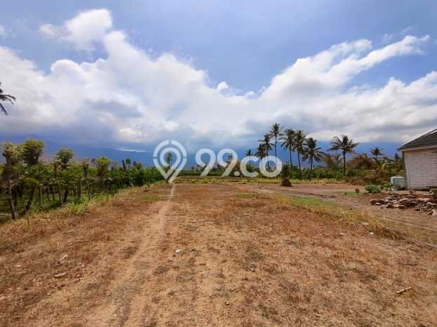 Tanah di Buleleng, Buleleng Luas 2550m2 Dijual Segera Tanah di Buleleng, Buleleng Luas 2550m2 Dijual Segera