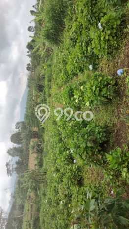 Tanah Komersial Dijual di Buleleng Buleleng 8000m2 Tanah Komersial Dijual di Buleleng Buleleng 8000m2
