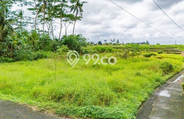 Lahan untuk Disewakan di Tabanan Tabanan - Lahan untuk Disewakan di Tabanan Tabanan -