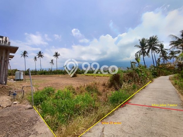 Tanah di Buleleng, Buleleng Luas 2550m2 Dijual Segera Tanah di Buleleng, Buleleng Luas 2550m2 Dijual Segera