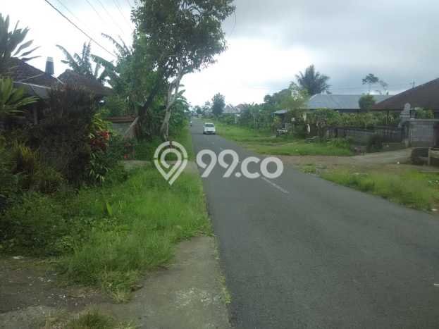 Tanah Komersial Dijual di Buleleng Buleleng 8000m2 Tanah Komersial Dijual di Buleleng Buleleng 8000m2
