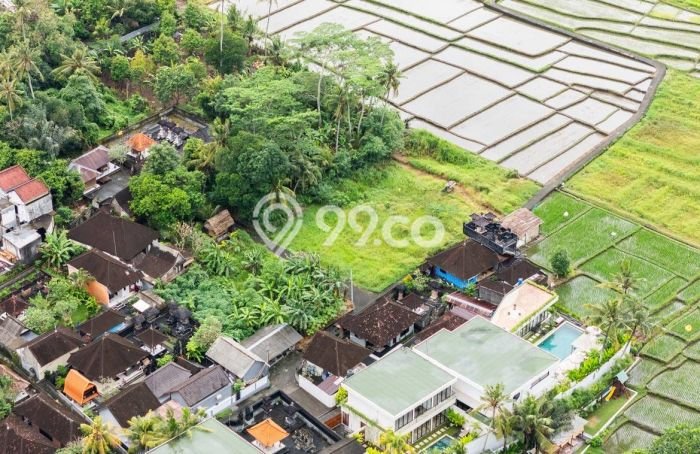 Lahan untuk Disewakan di Tabanan Tabanan - Lahan untuk Disewakan di Tabanan Tabanan -