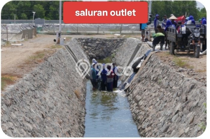 Pabrik Dijual Lokasi Emas di Panarukan Luas 1000m2 Pabrik Dijual Lokasi Emas di Panarukan Luas 1000m2