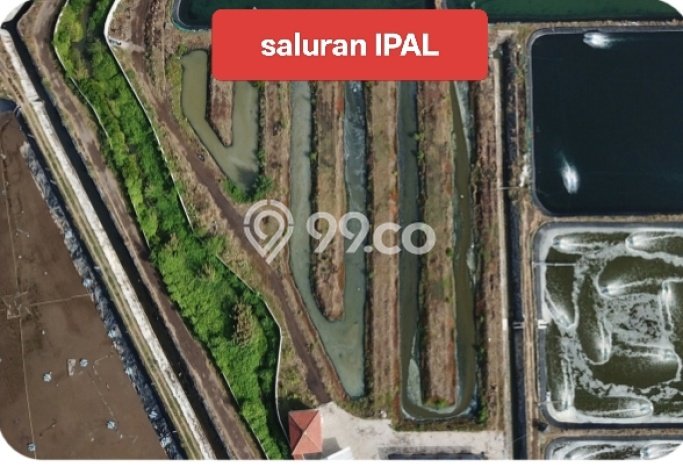 Pabrik Dijual Lokasi Emas di Panarukan Luas 1000m2 Pabrik Dijual Lokasi Emas di Panarukan Luas 1000m2