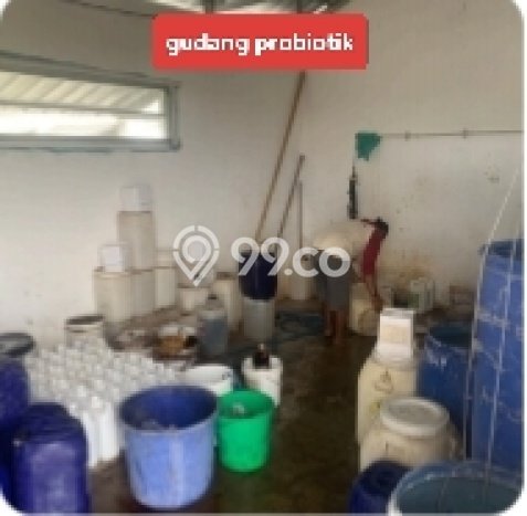 Pabrik Dijual Lokasi Emas di Panarukan Luas 1000m2 Pabrik Dijual Lokasi Emas di Panarukan Luas 1000m2