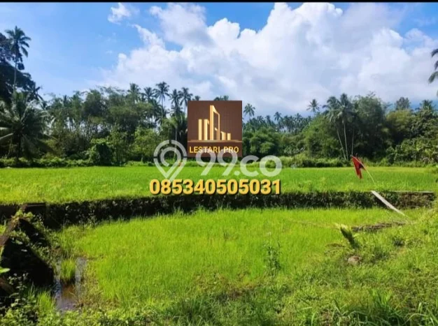 Dijual Tanah di Dimembe Minahasa Utara Luas 120000m2 SHM Dijual Tanah di Dimembe Minahasa Utara Luas 120000m2 SHM