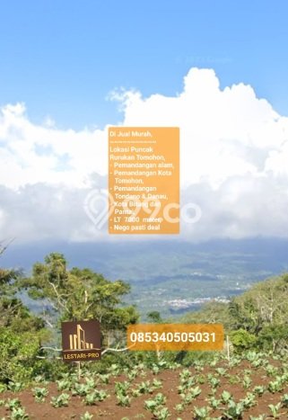 Lahan Investasi Lokasi Tomohon Timur Tomohon - Lahan Investasi Lokasi Tomohon Timur Tomohon -
