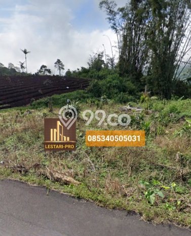 Lahan Investasi Lokasi Tomohon Timur Tomohon - Lahan Investasi Lokasi Tomohon Timur Tomohon -
