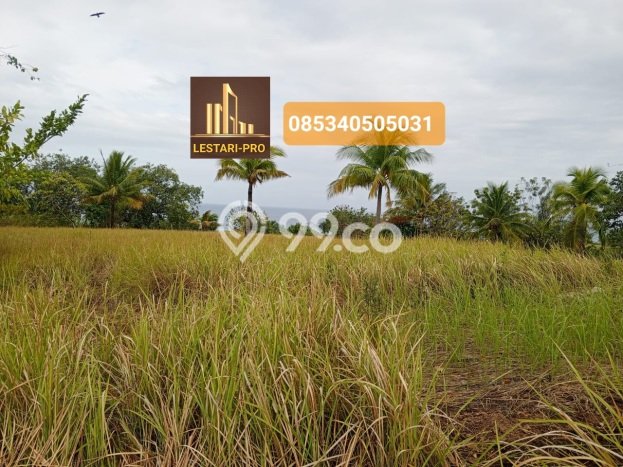 Tanah untuk Dijual Lokasi Tondano Timur, Minahasa Luas 7000m2 - Tanah untuk Dijual Lokasi Tondano Timur, Minahasa Luas 7000m2 -