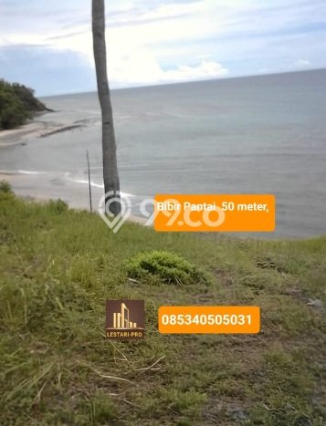 Dijual Tanah di Tondano Timur Minahasa Luas 16000m2 SHM Dijual Tanah di Tondano Timur Minahasa Luas 16000m2 SHM