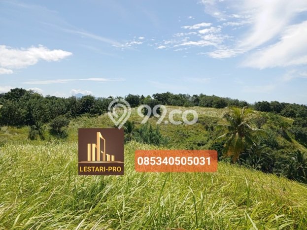 Lahan Investasi Lokasi Tondano Timur Minahasa SHM Lahan Investasi Lokasi Tondano Timur Minahasa SHM