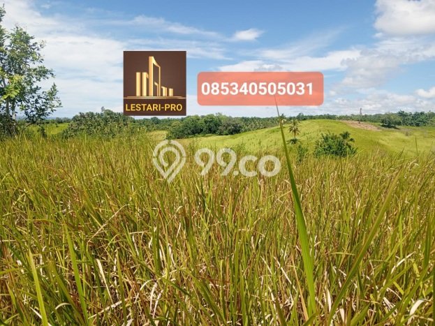 Lahan Investasi Lokasi Tondano Timur Minahasa SHM Lahan Investasi Lokasi Tondano Timur Minahasa SHM