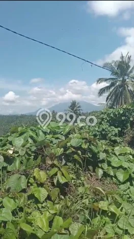 Lahan Kosong Dijual di Manado dengan Area 4700m2 Lahan Kosong Dijual di Manado dengan Area 4700m2